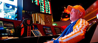 Вход на зеркало Bollywood Casino